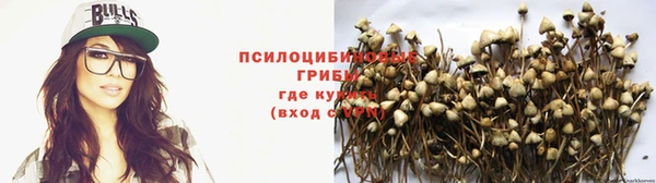 спайс Алексеевка