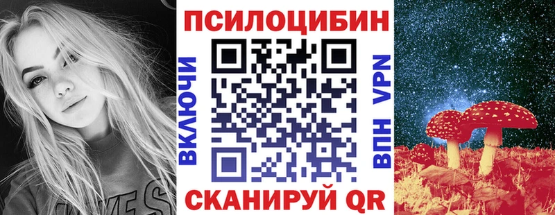 Псилоцибиновые грибы Cubensis  Алексин 