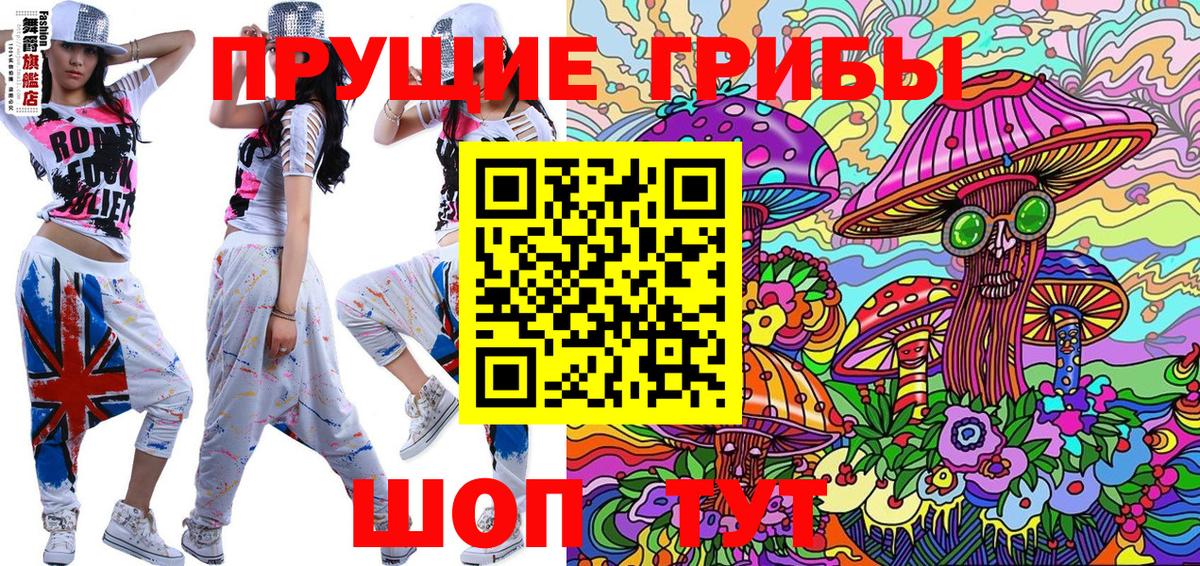 Галлюциногенные грибы Psilocybine cubensis Алексин