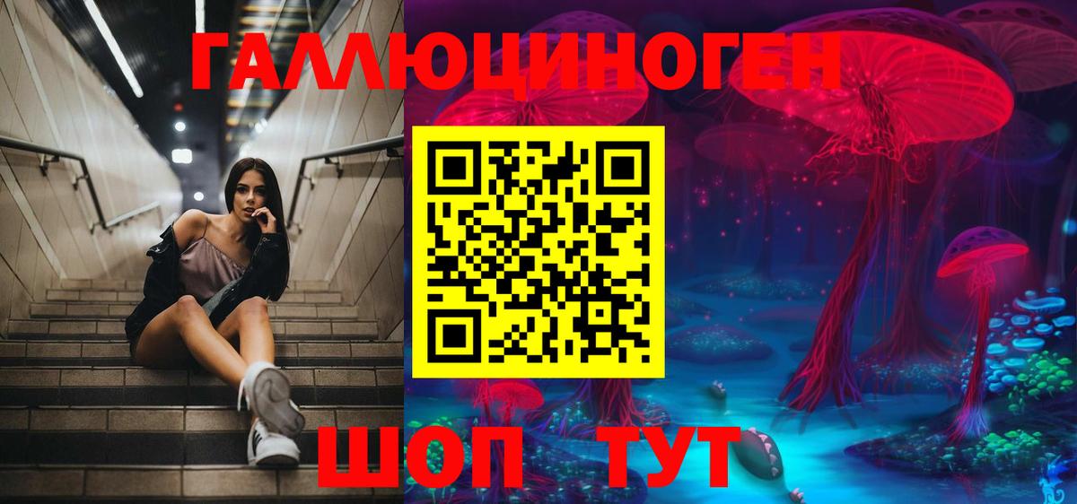 купить   Галлюциногенные грибы Psilocybe  Вход с VPN  Алексин 
